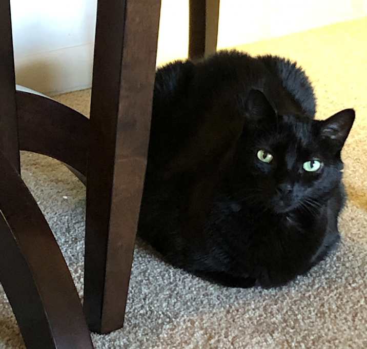 Photo of Max and Jack