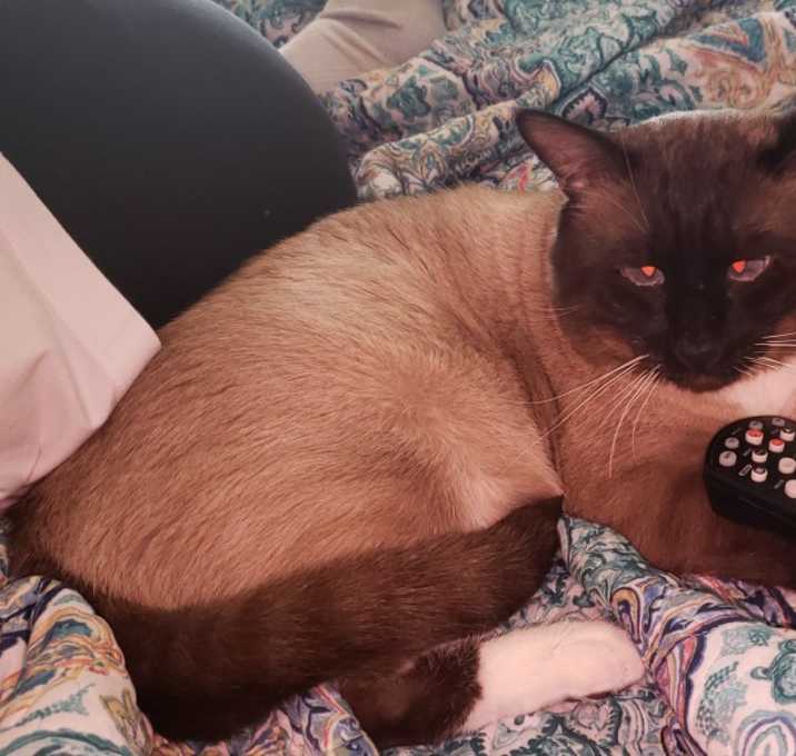 Photo of Jesse James 