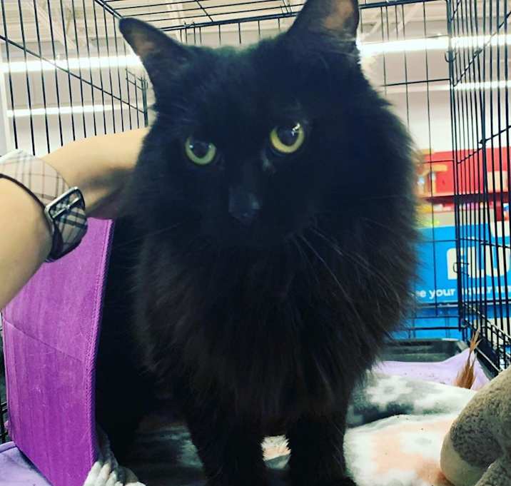 Photo of Pretty Girl