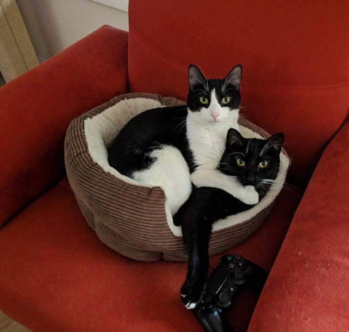 Photo of Masha and Sasha