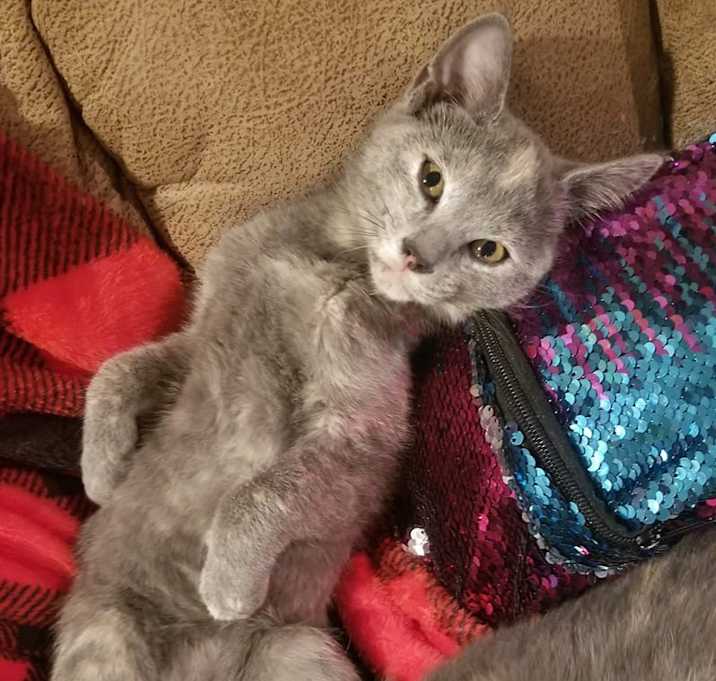 Photo of Brandi Lynn