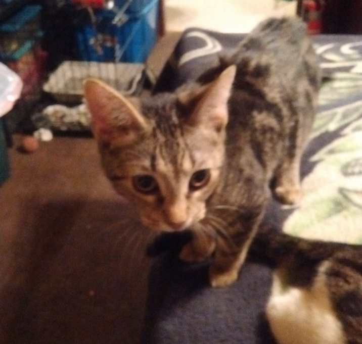 Photo of Daisy & lilly