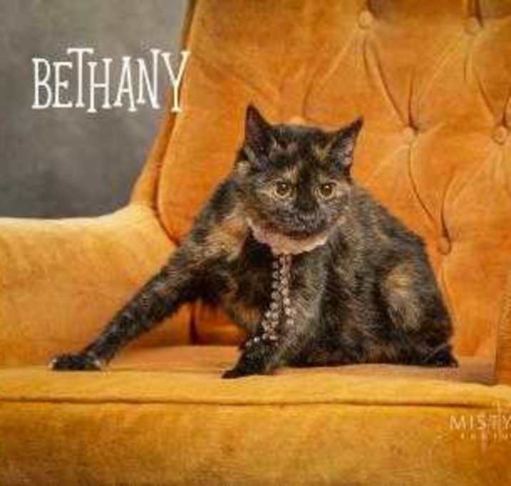 Photo of Bethany