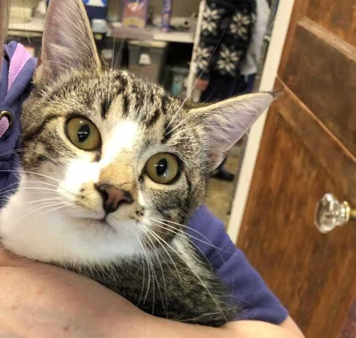 Photo of 20-056 Missy Brown