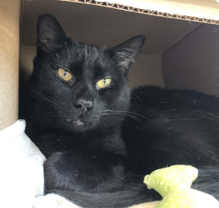 Photo of Saint Valentine