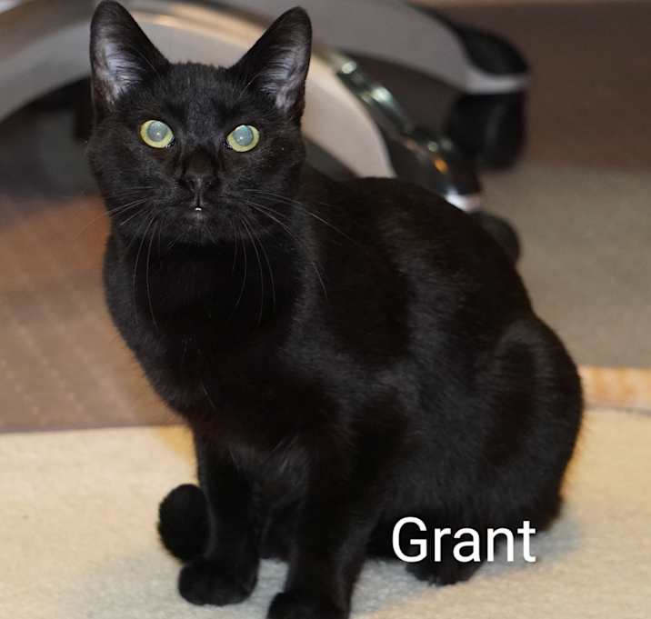 Photo of Grant