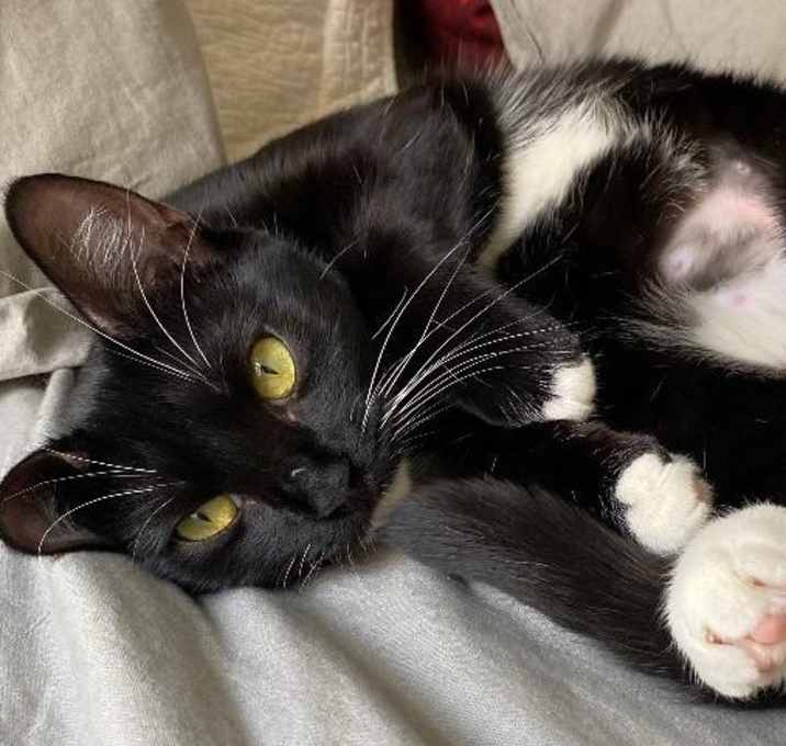 Photo of LEIA-Affectionate Princess