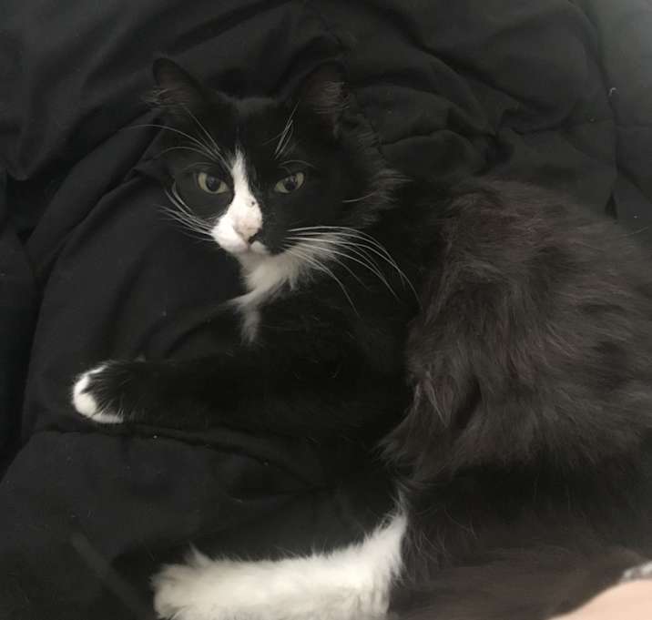 Photo of Little Lady