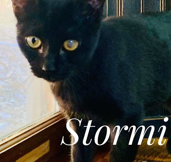 Photo of Stormi