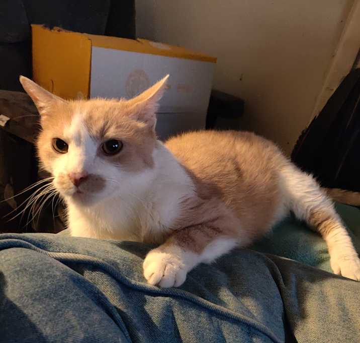 Photo of Ricky Bobby