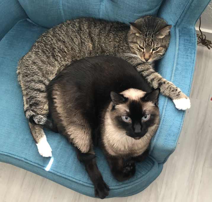 Photo of Jesse Pinkman & Nucky