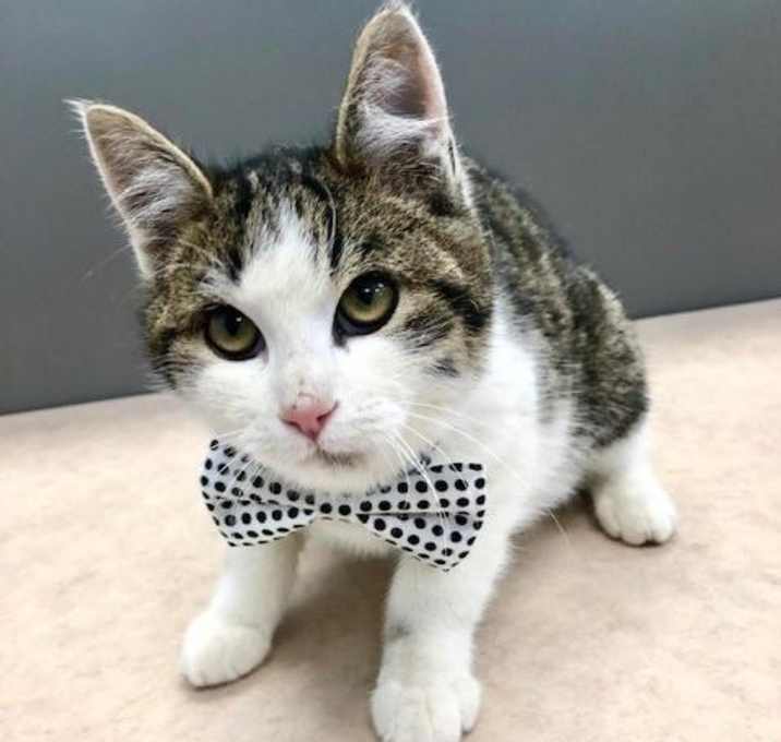 Photo of Thomas O'Malley