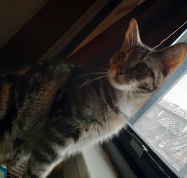 Photo of Poppi & Safari