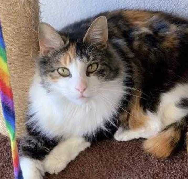 Photo of Princess Petey