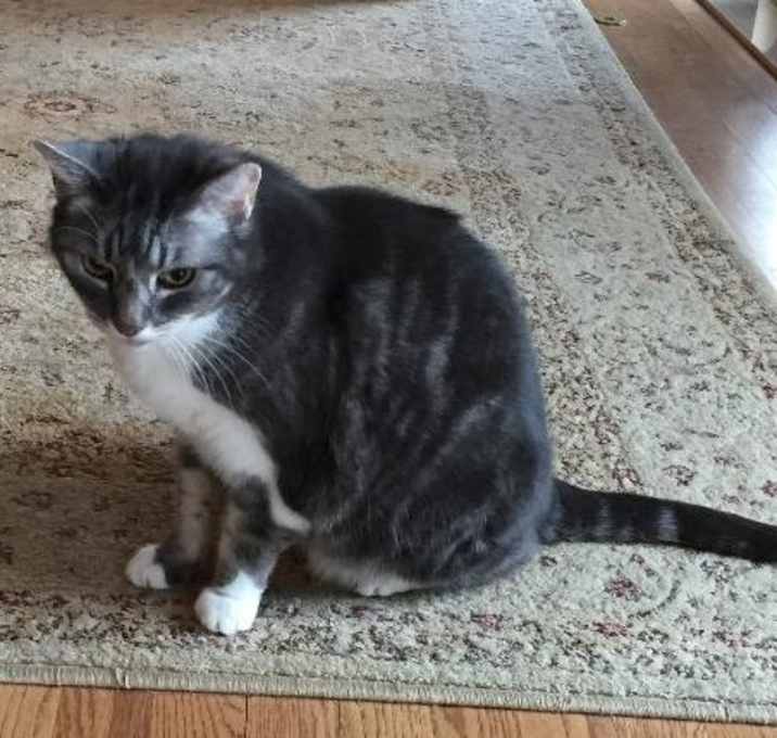 Photo of Snoopers ***Courtesy Post***