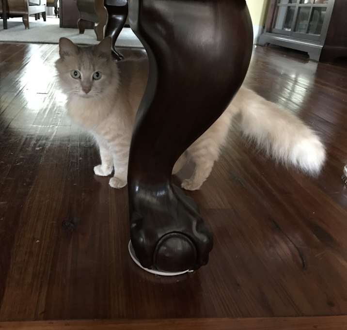 Photo of Christopher Robin