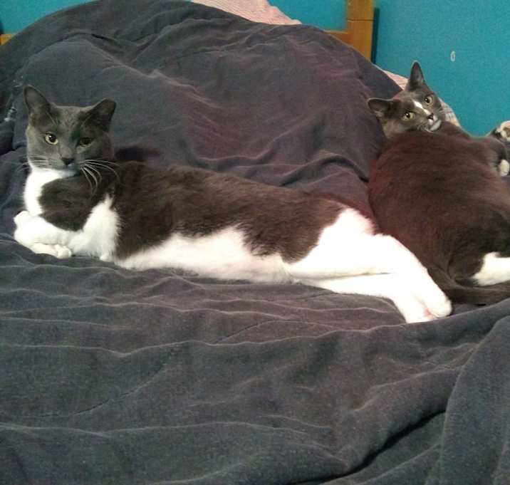 Photo of Daisy & Daphne