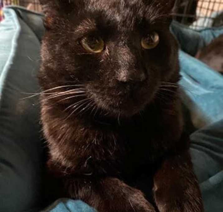 Photo of Lee Sizemore