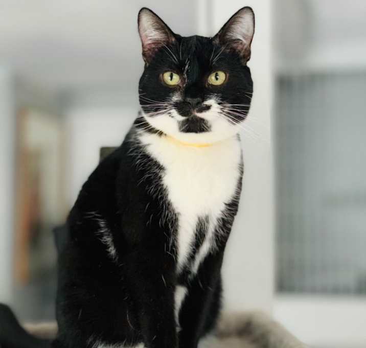Photo of TUX