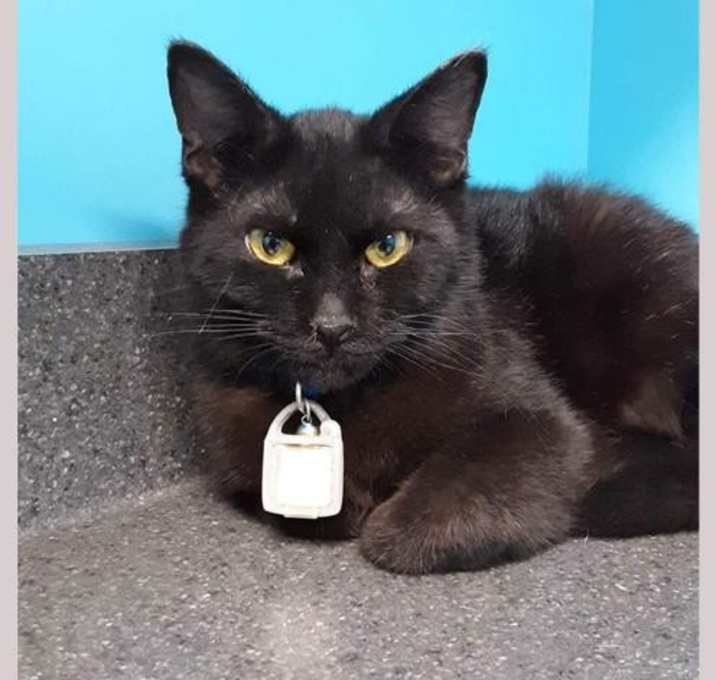 Photo of Hocus Pocus