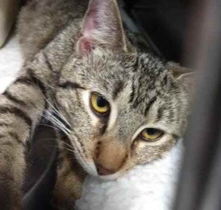 Photo of Doctor Strange