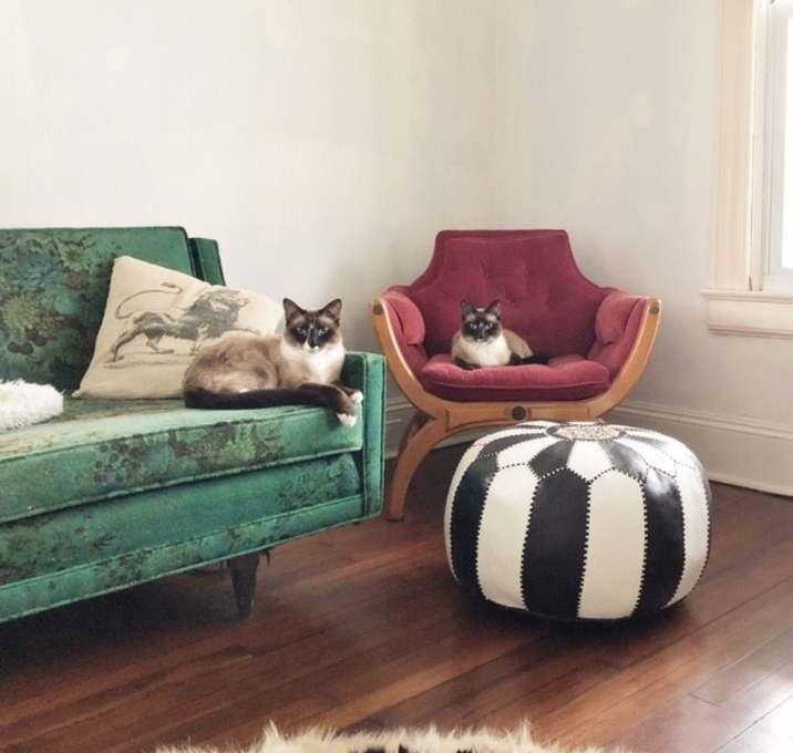 Photo of Sylvester & Pierre