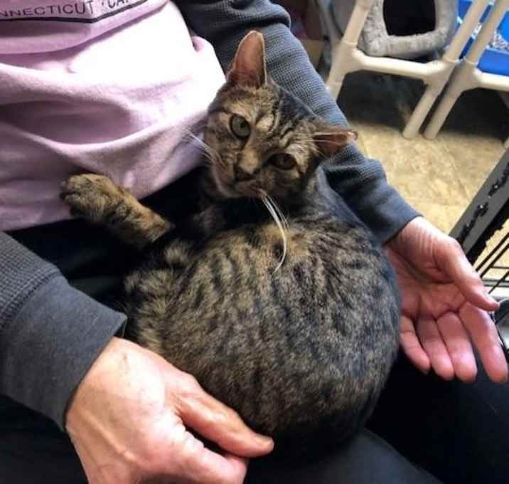 Photo of Little baby