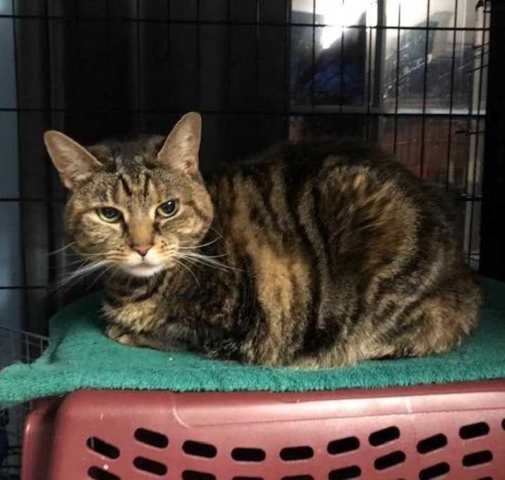 Photo of Precious Somers