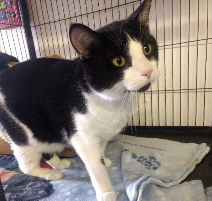 Photo of Elton John (Romeo)