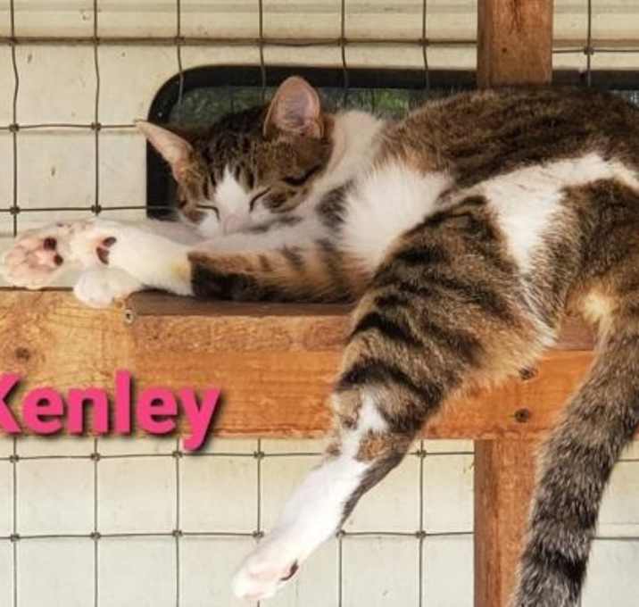 Photo of Kalee & Kenley