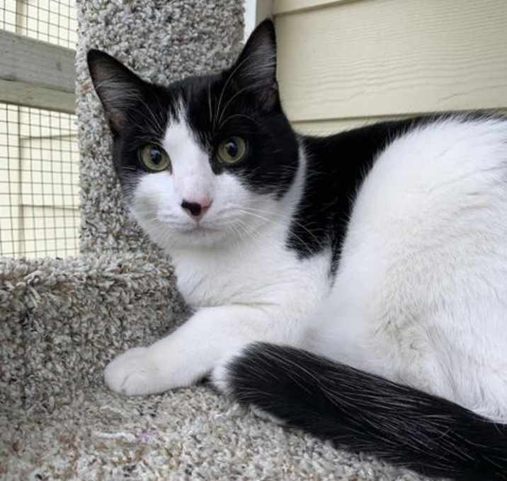 Photo of Bruno (Summer Night)