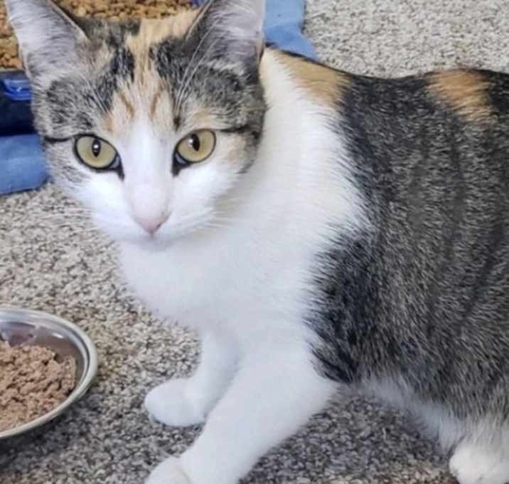 Photo of Minnie Pearl