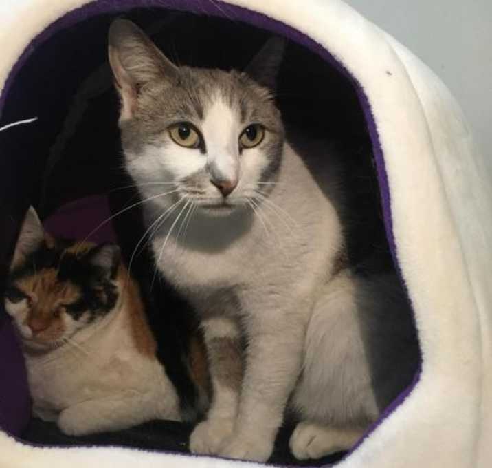 Photo of Shop & Rite