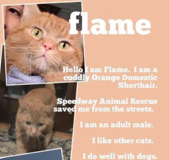 Photo of Flame