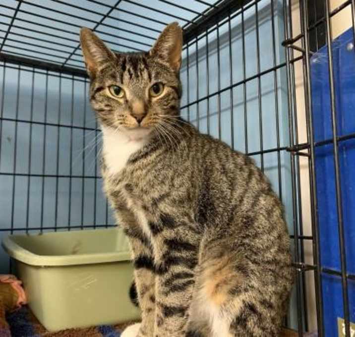 Photo of Brandy & Alexander