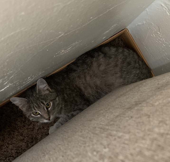 Photo of Princess Marie