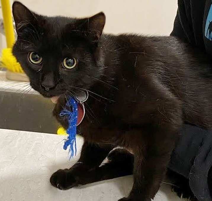 Photo of Connecticut