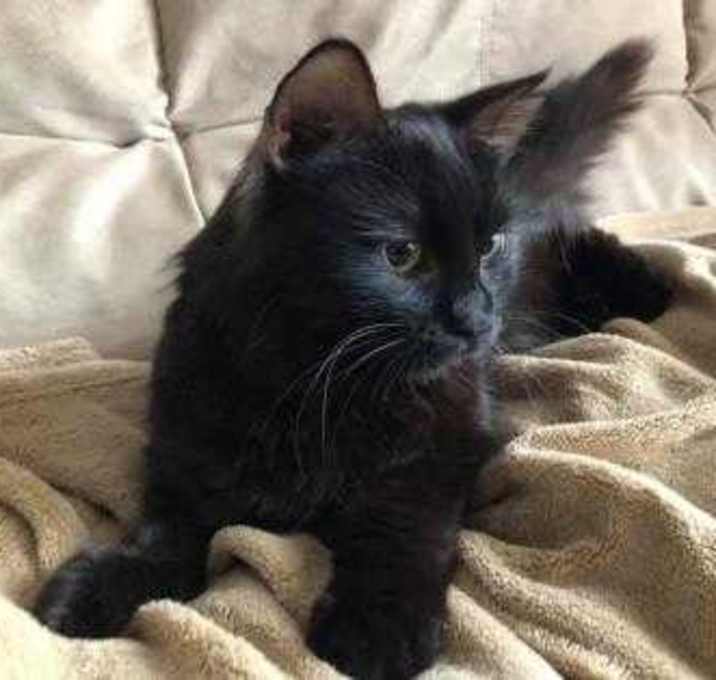 Photo of Ember Katch