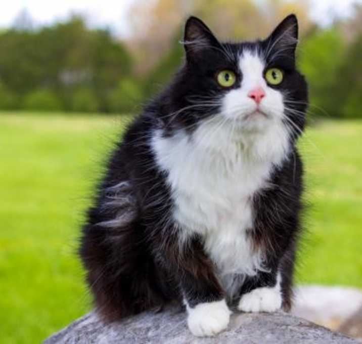 Photo of PRINCESS LEIA