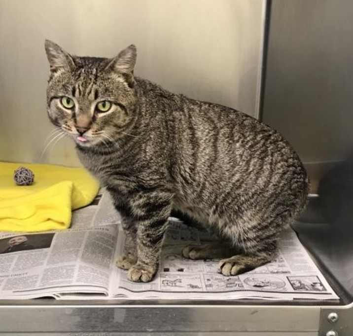 Photo of CA 114 'Enrique'