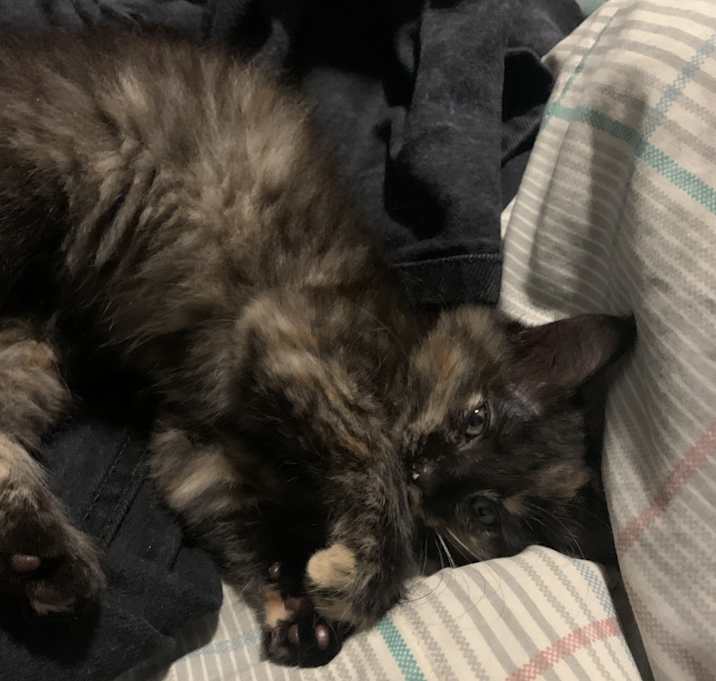 Photo of You’re new friend