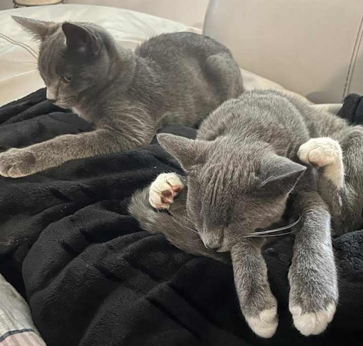 Photo of Daryl Dixon