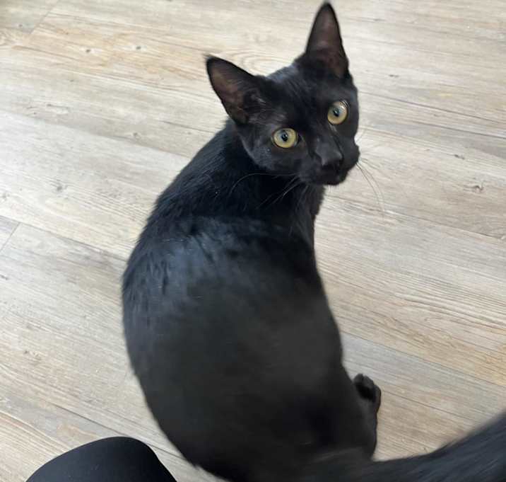 Photo of Puerto Rico