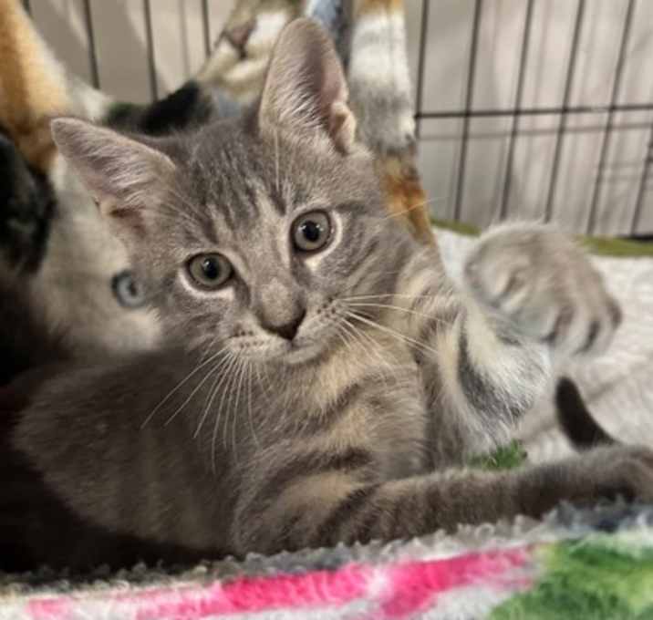 Photo of Merle Haggard