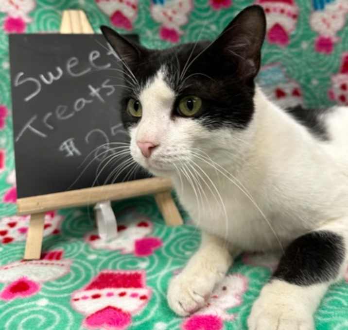 Photo of Axford-Fiv+