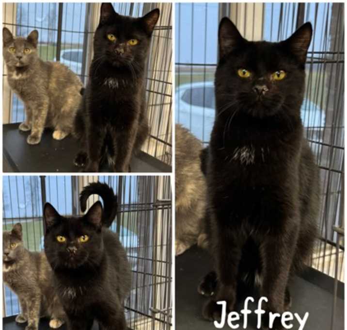 Photo of Jeffrey