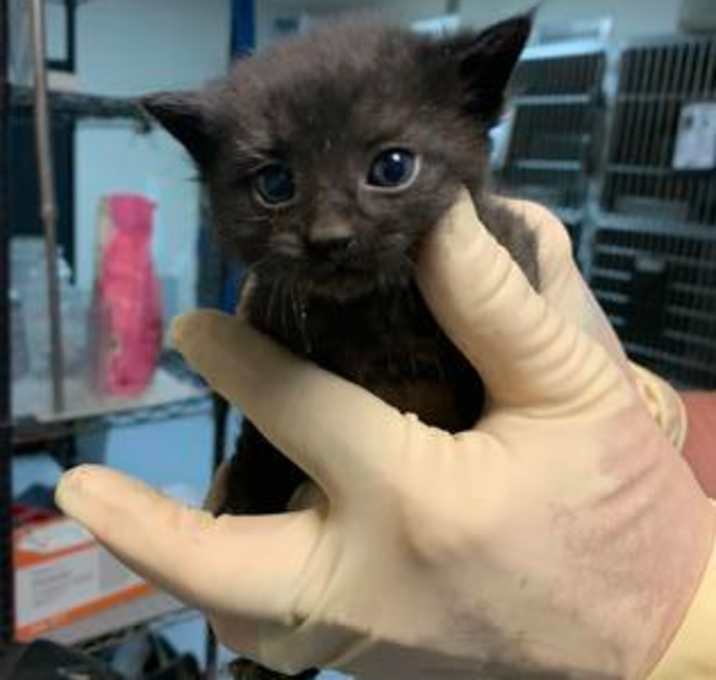 Photo of itty bitty :)