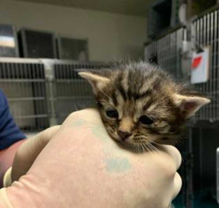 Photo of itty bitty :)