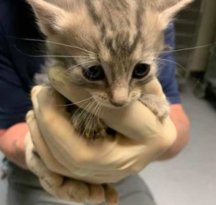 Photo of itty bitty :)