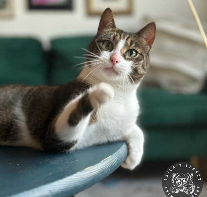 Photo of Sonny (FKA Nugget)